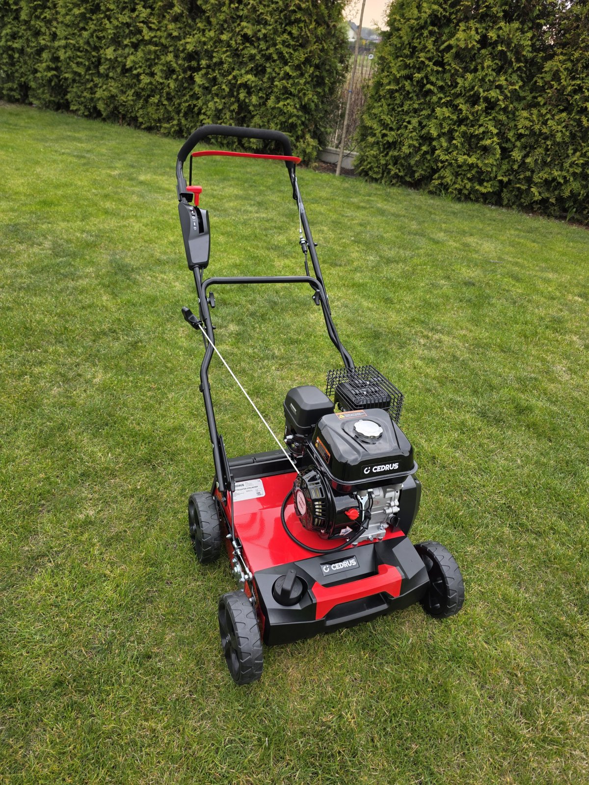 Aerator wertykulator spalinowy Cedrus WR01 3w1