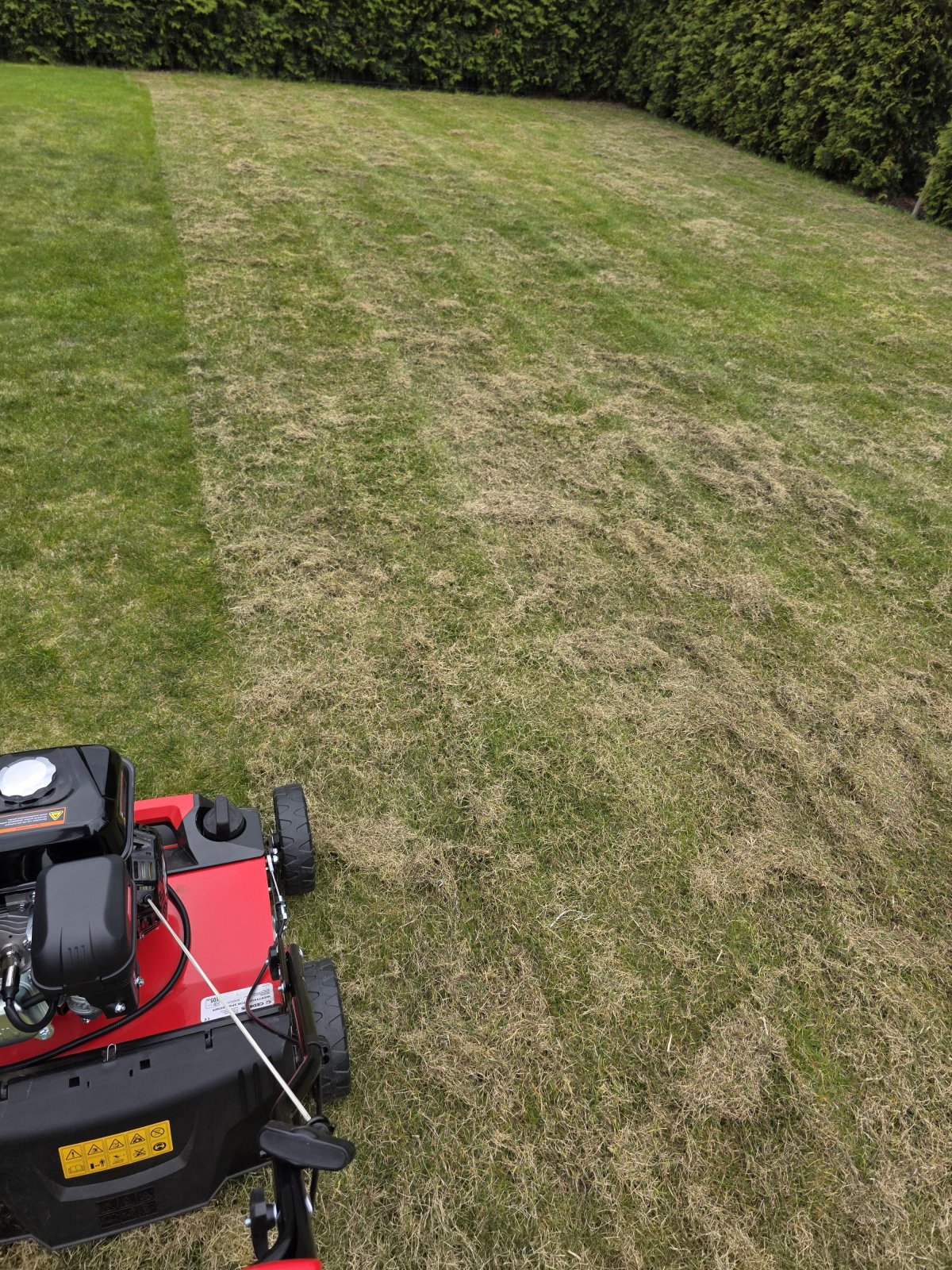 Aerator wertykulator spalinowy Cedrus WR01 3w1 — zdjęcie 3